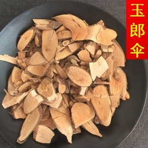 广西玉郎伞图片及药用图片