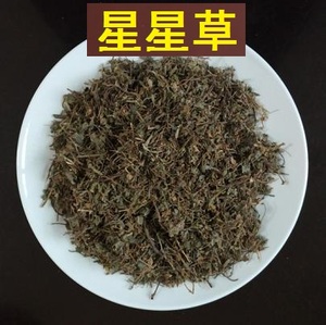 星星草的功效作用图片