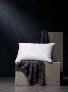 寐MINE2023新款专柜同款正品柔软舒适 莱赛尔纤维枕芯枕头48*74