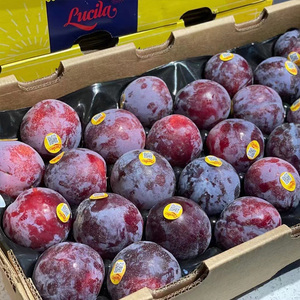 顺丰包邮 恐龙蛋水果苹果李大李子新鲜孕妇水果黑布林