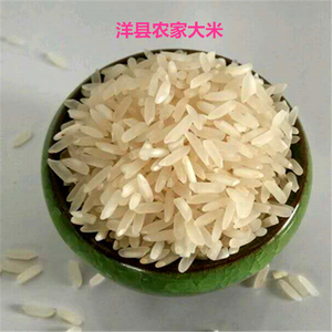 洋县大米新米 农家自种长粒香米10kg包邮 汉中朱鹮翡翠米