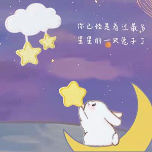 看过最多星星的兔子刺绣贴 毛绒摘星兔补丁贴diy包贴围巾贴自粘款