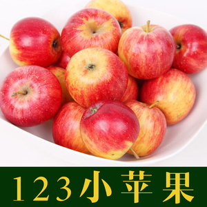 5斤东北123小苹果新鲜水果酸甜孕妇海棠果红沙果特产现摘现发包邮