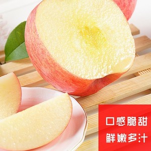 洛川苹果陕西红富士新鲜水果脆甜皮薄新果洛川直发