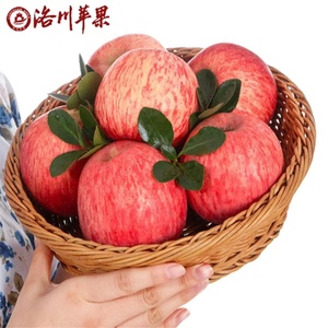 【产地直发】洛川苹果陕西红富士苹果延安特产水果脆甜苹果礼盒