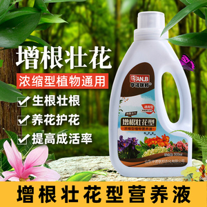 增根壮花型营养液水培植物快速生根液富贵竹发财树扦插肥料