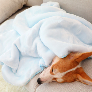 宠物毛毯狗狗专用垫子冬天冬季狗用睡觉的加厚小被子狗毯子秋冬款
