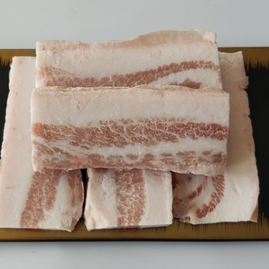 新鲜冷冻猪五花肉块20斤扣肉大肉块带皮五花肉大肉面80块左右