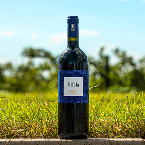 还可再放十年 意大利进口威尼托赤霞珠干红葡萄酒红酒