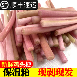 新鲜鸡头梗2021湖北农家菜特产时令蔬菜非藕尖3斤去皮芡实梗2斤
