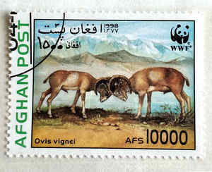 C 阿富汗1998年WWF熊猫徽邮票东方盘羊高值销