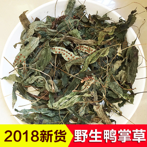 客家野生鸭掌草 鸭脚草开胃消食野生鹅掌金星草 天然煲汤食材200g