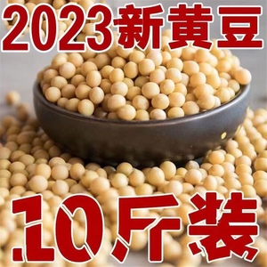 23年新豆东北黑龙江黄豆农家自产五谷杂粮豆浆豆芽非转基因黄豆新