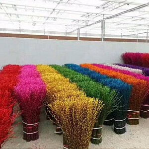 干柴烈火杜鹃花水养