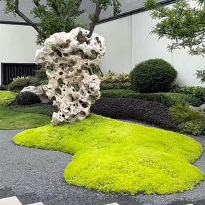 佛甲草地被宿根植物庭院绿植盆栽可过冬