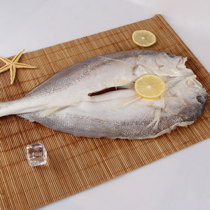 量大可议价真空家宴酒席新品酒店特色菜冷冻深海野生拉菲黄鱼