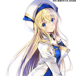 哥布林杀手剑之圣女动漫本子二次元22本