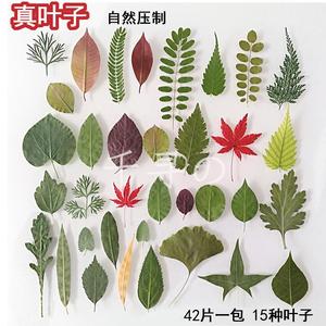 创意树叶儿童画