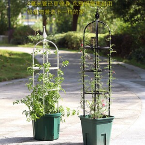 球兰花爬藤架常春藤阳台客厅家用园艺植物月季支架花园攀爬架