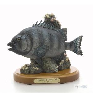 石鲷（条纹）日本出品 仿真鱼 模型 摆件 收藏品 ZY0108