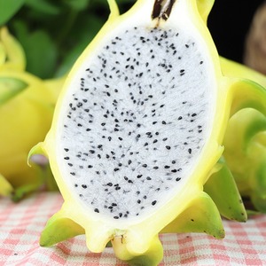 现货黄色火龙果热带特产麒麟果黄皮黄金白心火龙水果礼盒6斤包邮