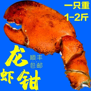 网红波士顿龙虾钳子生冻大龙虾钳子肉大钳子特大脸蟹脚大夹子虾脚