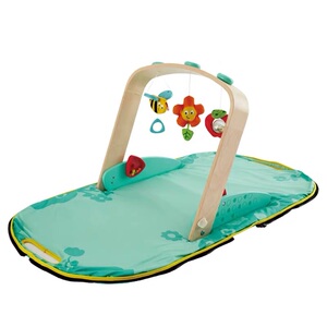 hape 便携婴儿健身架0-1岁婴幼儿男女孩旋转挂饰锻炼抓握早教玩具