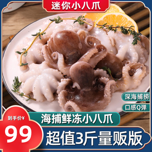 新鲜小八爪鱼 鲜活冷冻迷你小章鱼麻辣海鲜大爆头章鱼3斤装包邮