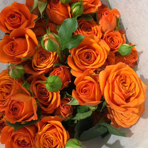 多头玫瑰泡泡蔷薇梦幻芭比橙色昆明直发做干花家用送人生活鲜花