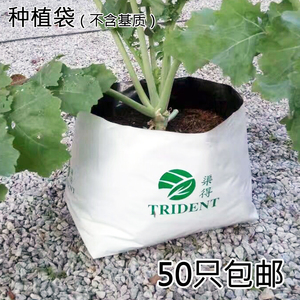 塑料黑白种植袋生长袋 美植育苗袋无土椰糠栽培袋定制 可印刷LOGO