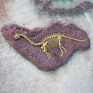 博物馆恐龙化石定制远古生物标本定做树脂骨架动物骨骼浮雕模型