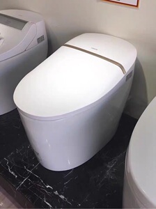 箭牌智能一体马桶