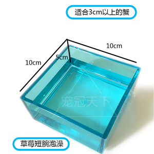 迷你鱼缸寄居蟹隔离缸亚克力海水缸小号透明方形塑料缸中缸小水盆