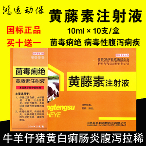 兽药黄藤素注射液兽用菌毒痢绝针剂猪牛羊病毒细菌性拉血腹泻血痢