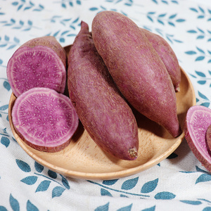 山姆超市代购海南儋州康沙烤紫薯1kg粉糯香又甜又糯地瓜口感绵密