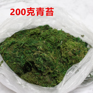 青苔 绿色苔藓水草护盆草 盆景盆栽铺面装饰 仿真绿植花卉花艺材