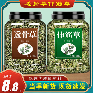 伸筋草透骨草500g克中药材正品旗舰店珍珠舒筋草新货泡水非野生