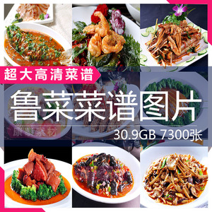 超大高清图片鲁菜中国四大八大菜系菜谱菜品大全设计师美工素材库