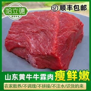 国产牛霖肉10斤装山东鲁西黄牛肉新鲜现宰冷冻原切生牛后腿肉