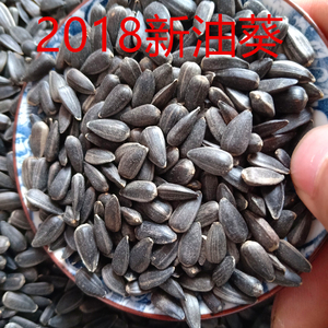 【麻子油葵】麻子油葵品牌,价格 - 阿里巴巴