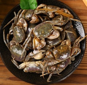 醉白玉蟹发财蟹醉蟛蜞旁元蟹朋友蟹咸蟹醉蟹呛蟹海鲜罐头特产包邮