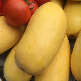 山东菏泽特产农家新鲜黄皮笋瓜西葫芦笋瓜菜500g黄金笋瓜5斤包邮