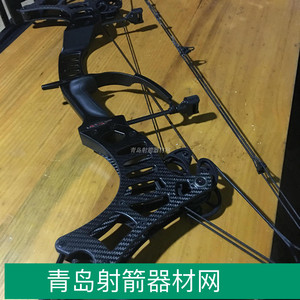 加拿大猛禽raptor x 猛禽x复合弓 进口两用弓箭器材掠食者