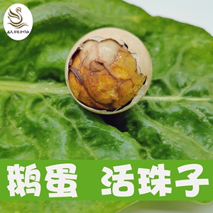 活珠子鹅胚蛋