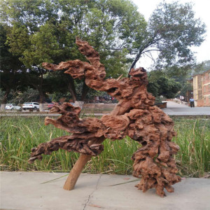 羊蹄甲云南金丝红木毛料树根枯木盆景木沉水料根雕工艺品摆件