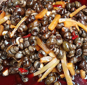 柳州酸辣螺蛳传统小吃酸笋紫苏煮石螺泥螺螺丝粉系列 泡沫箱发货