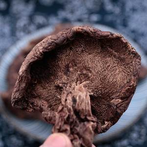 新货2022野生黑虎掌菌干货云南楚雄特产煲汤菌菇日韩礼品非獐子菌