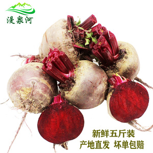 农家新鲜甜菜根甜菜头5斤包邮酵素果蔬馒头辅料当季红菜头红甜菜