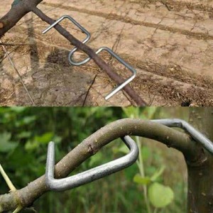 月季压枝神器果树拉枝定型器树枝定型器压枝钩别枝器sm型开角器