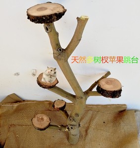 花花苹果木龙猫松鼠树桩树枝树叉木桩跳台磨牙玩具笼内造景玩耍